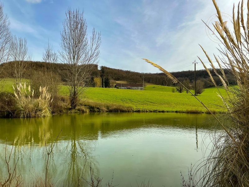 Maison à vendre, 388m², Penne-d'Agenais