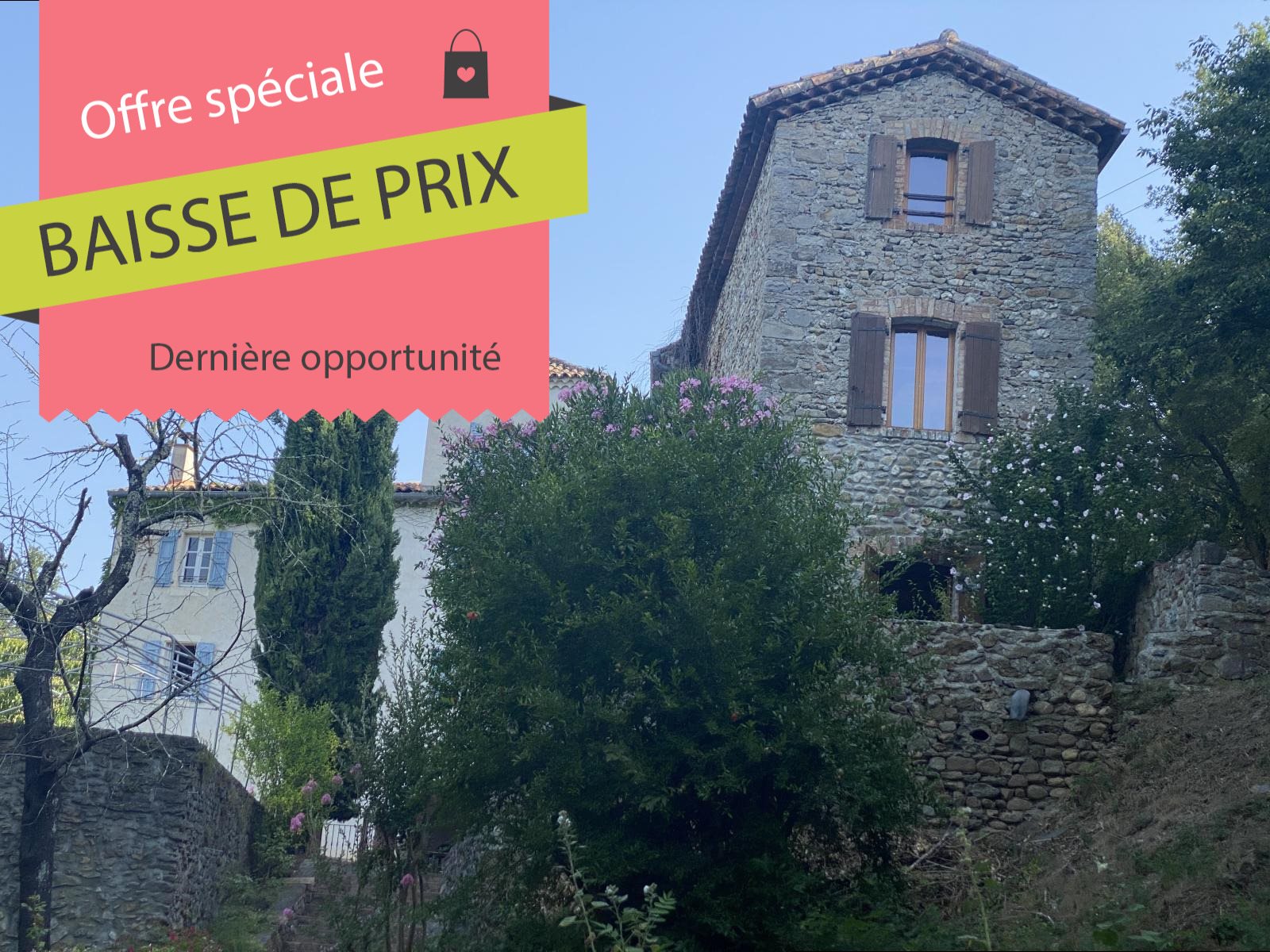 Maison à vendre, 450m², Saint-Martin-de-Valgalgues