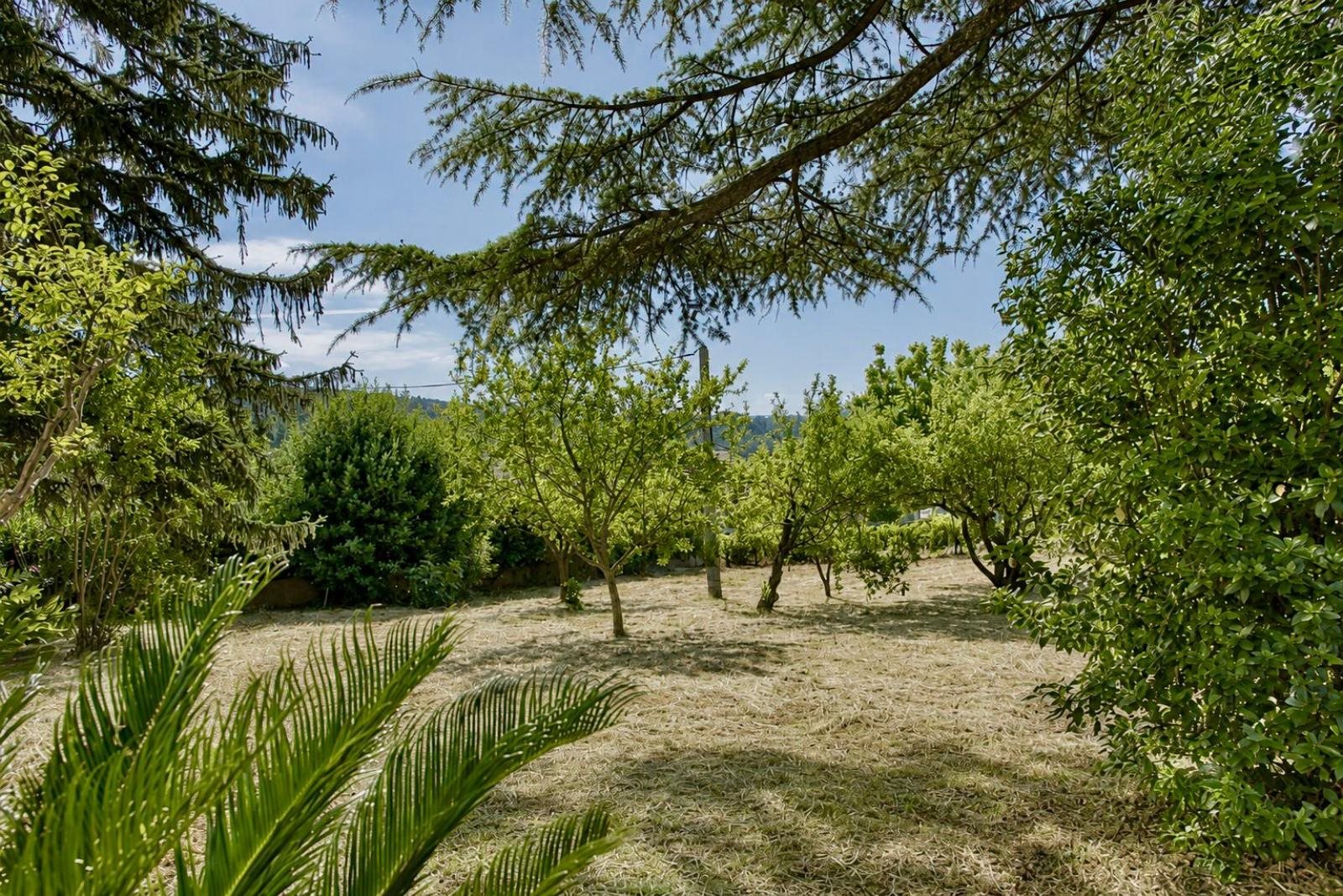 Maison à vendre, 155m², Branoux-les-Taillades