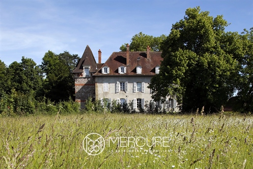 Maison 13 pièces 440 m² · à Treteau · 440 m² · 750 000 €