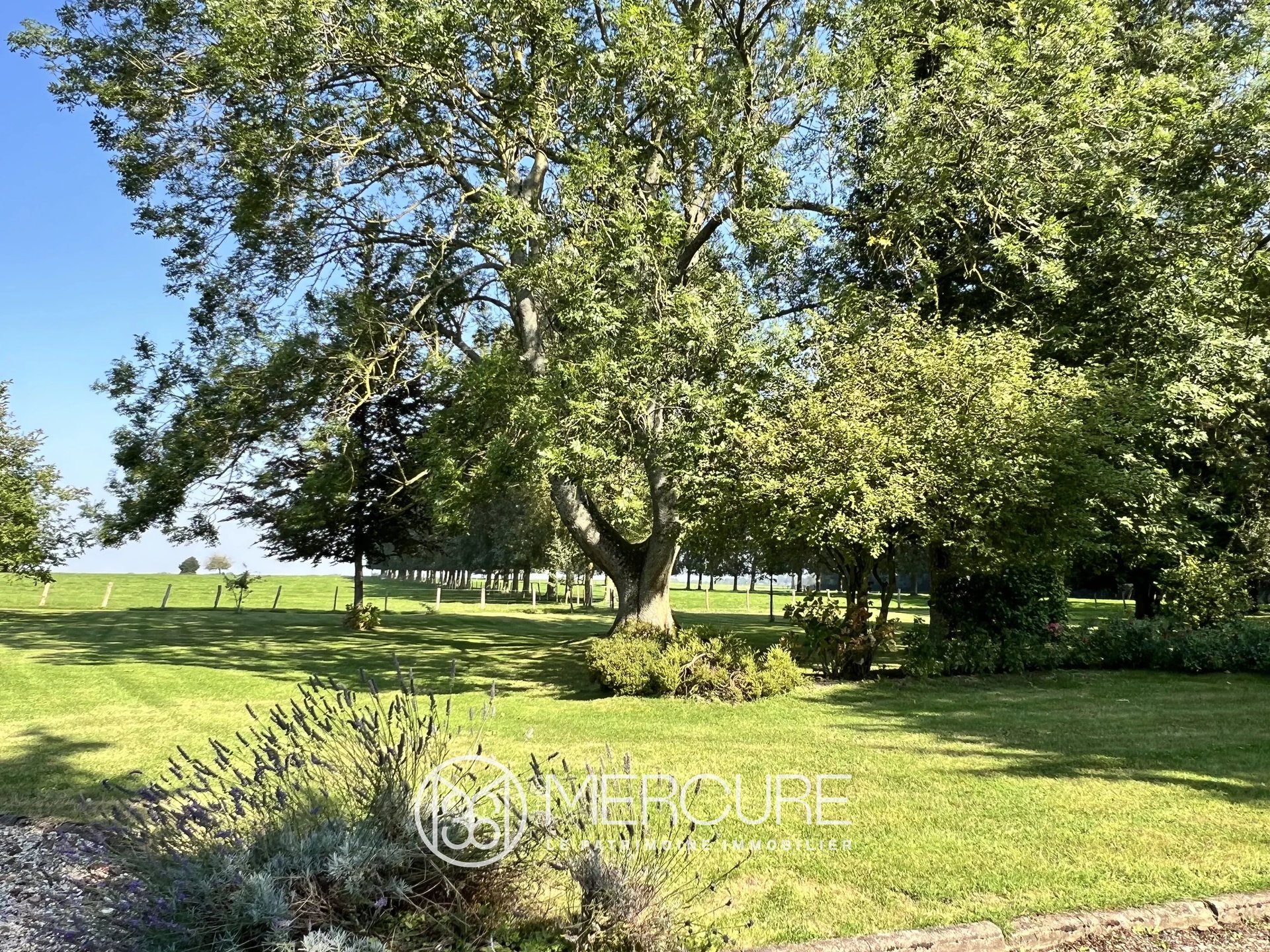 Maison à vendre, 330m², Friaucourt