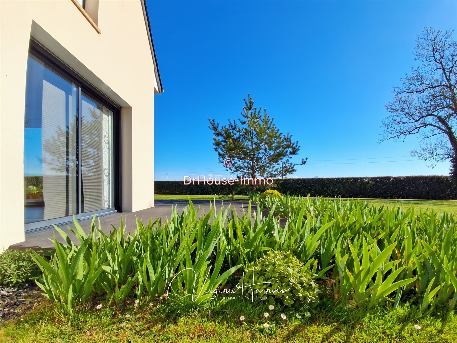 Maison à vendre, 168m², Falaise