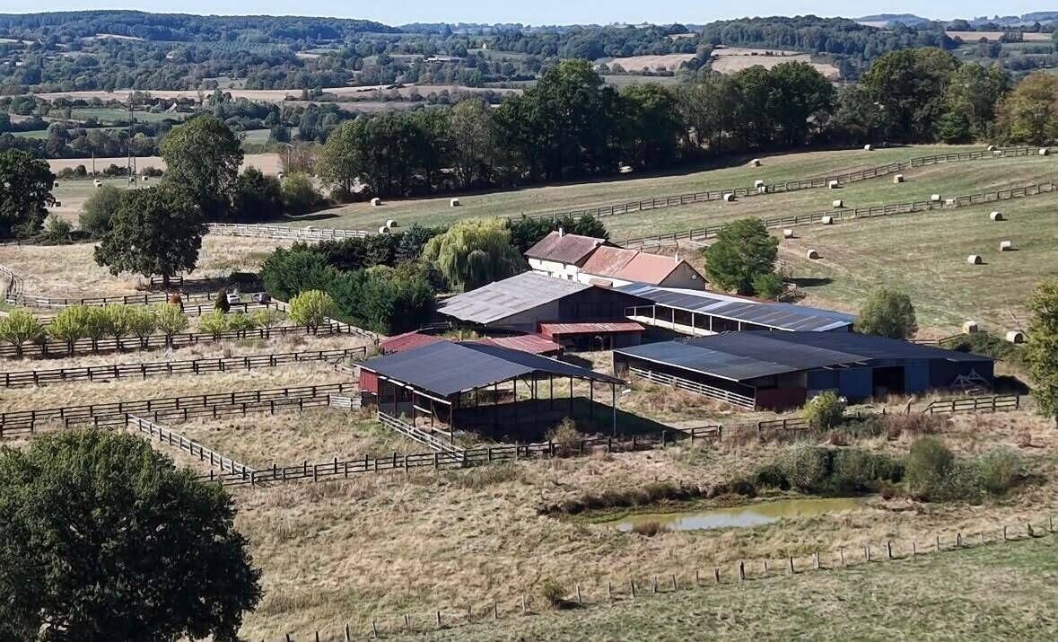 Maison à vendre, 340m², Mortagne-au-Perche