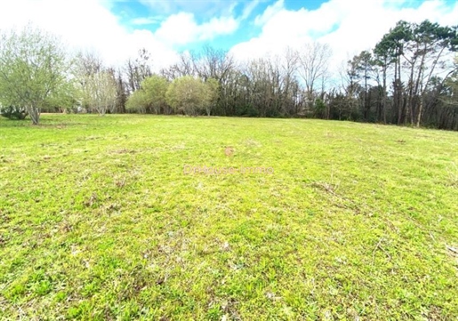 Advert pic 0