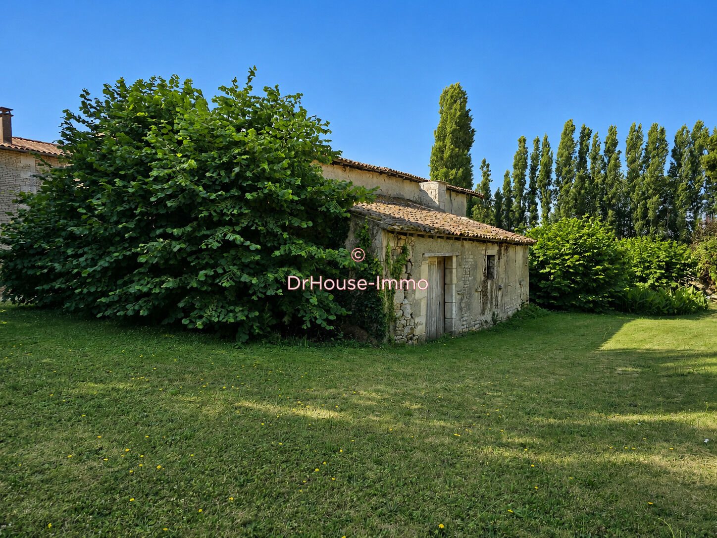 Maison à vendre, 268m², Cherveux