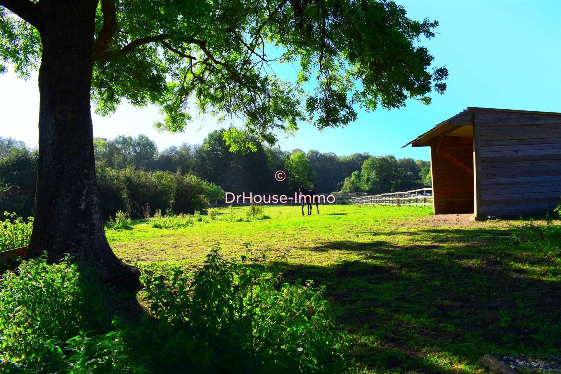 Maison à vendre, 216m², Pommeuse