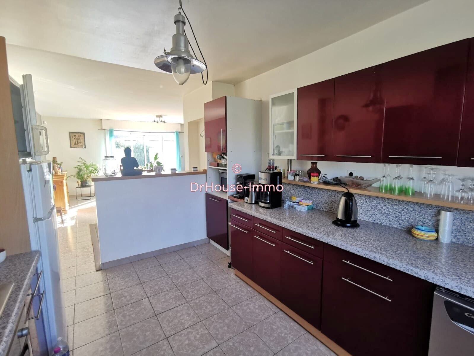 Maison à vendre, 249m², Vigneux-de-Bretagne