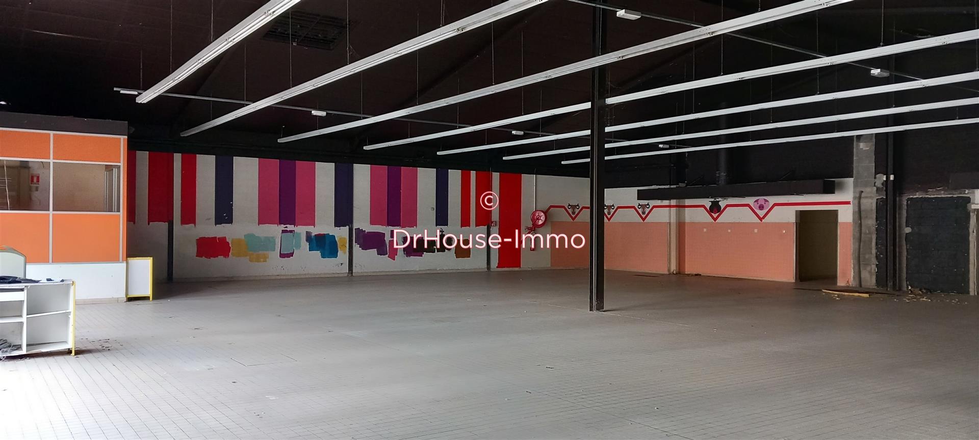 Maison à vendre, 667m², Langeac