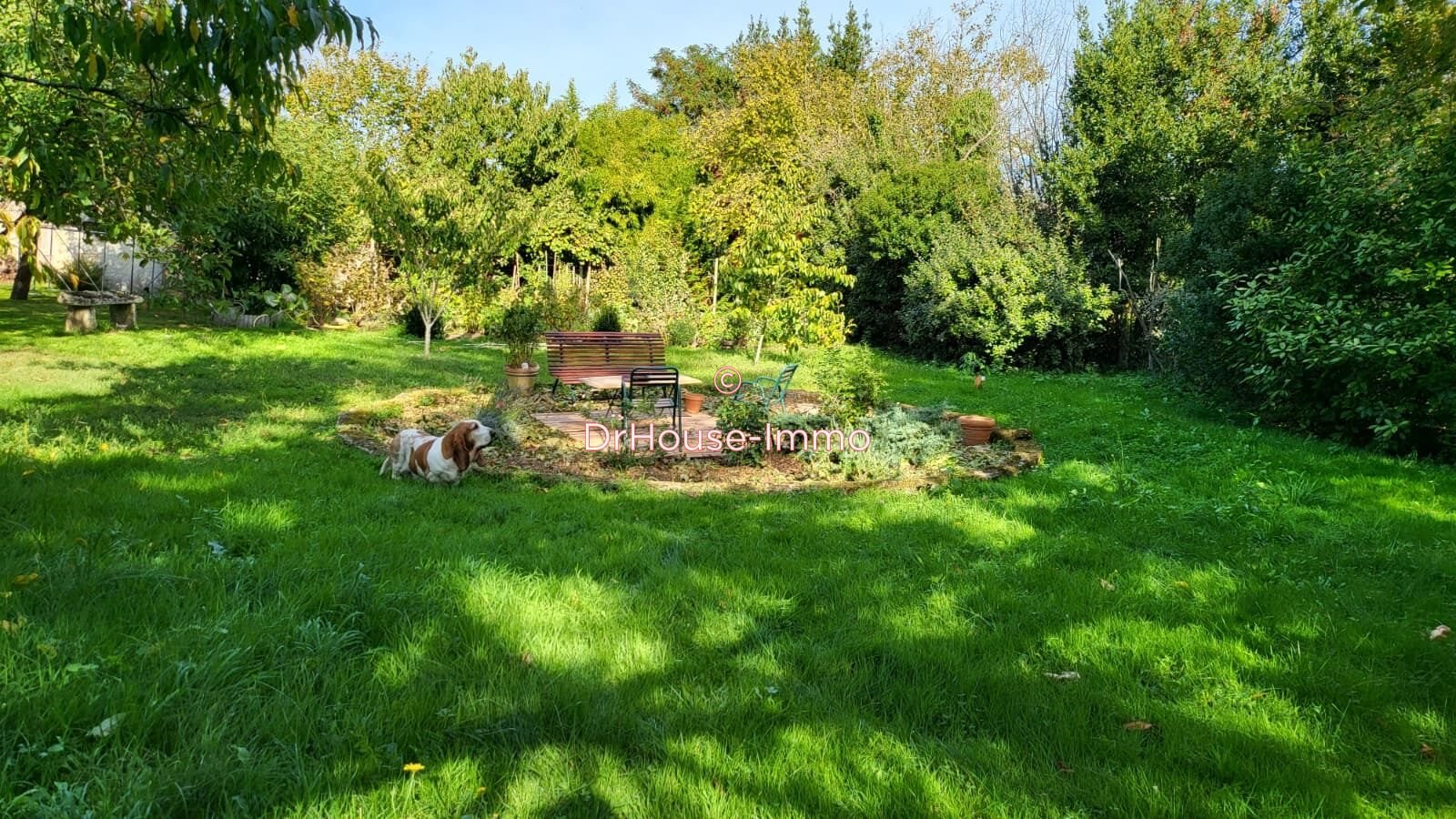 Maison à vendre, 260m², Aubigné-sur-Layon