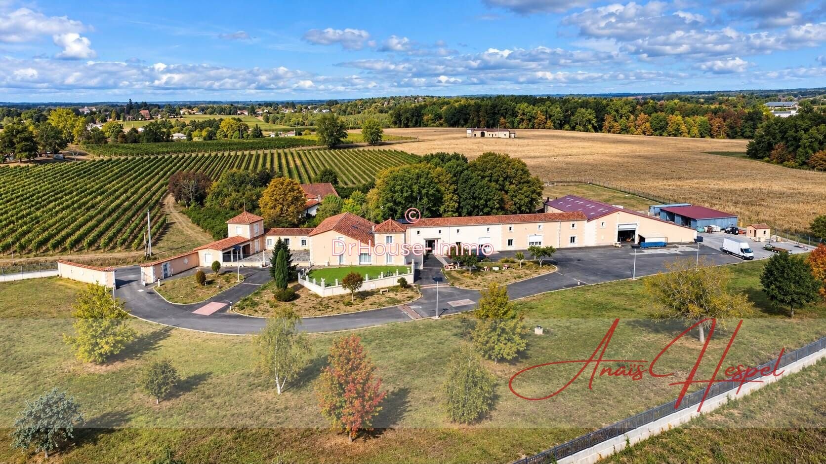 Maison à vendre, 520m², Sauveterre-de-Guyenne