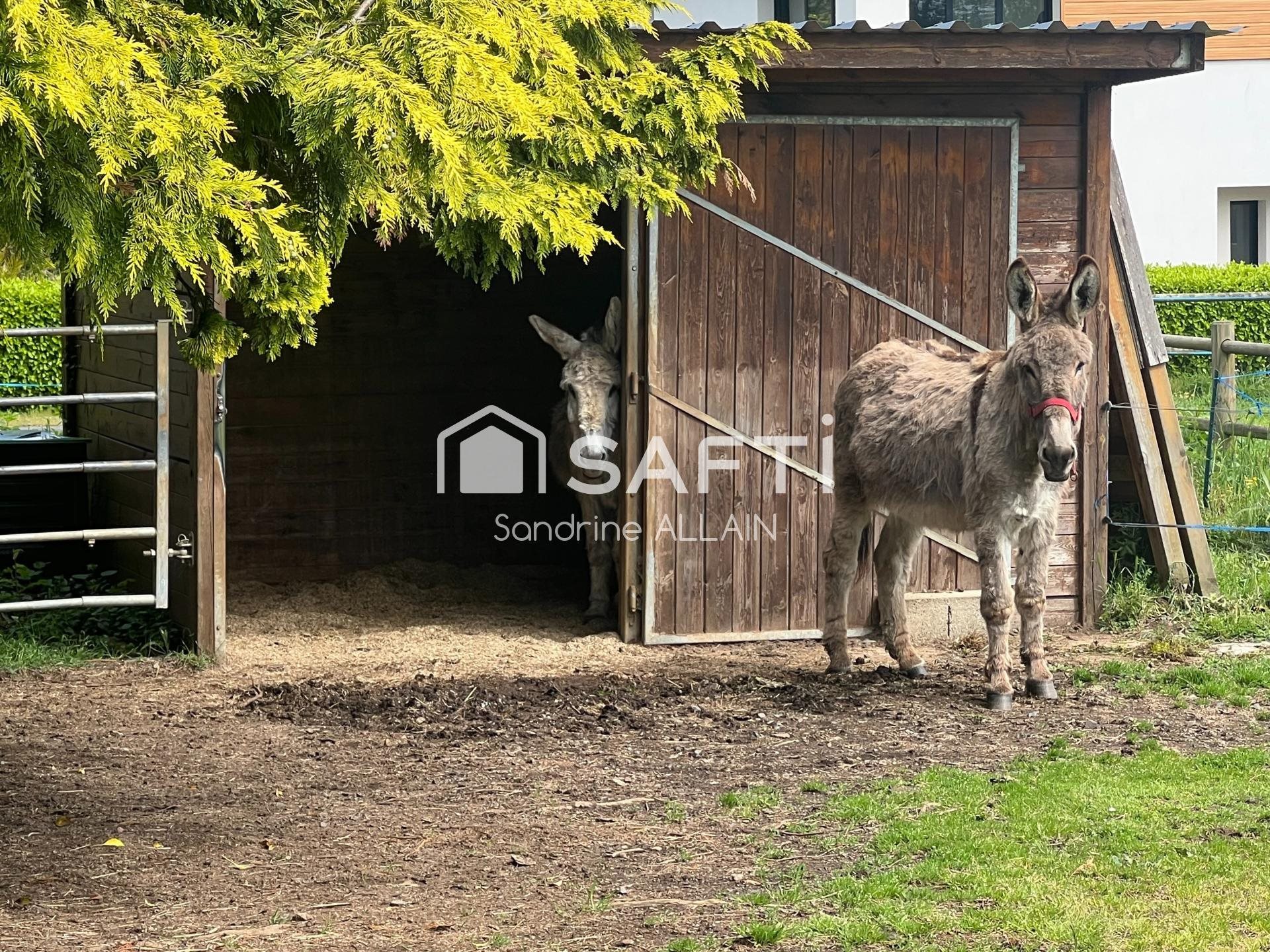 Maison à vendre, 160m², Plérin