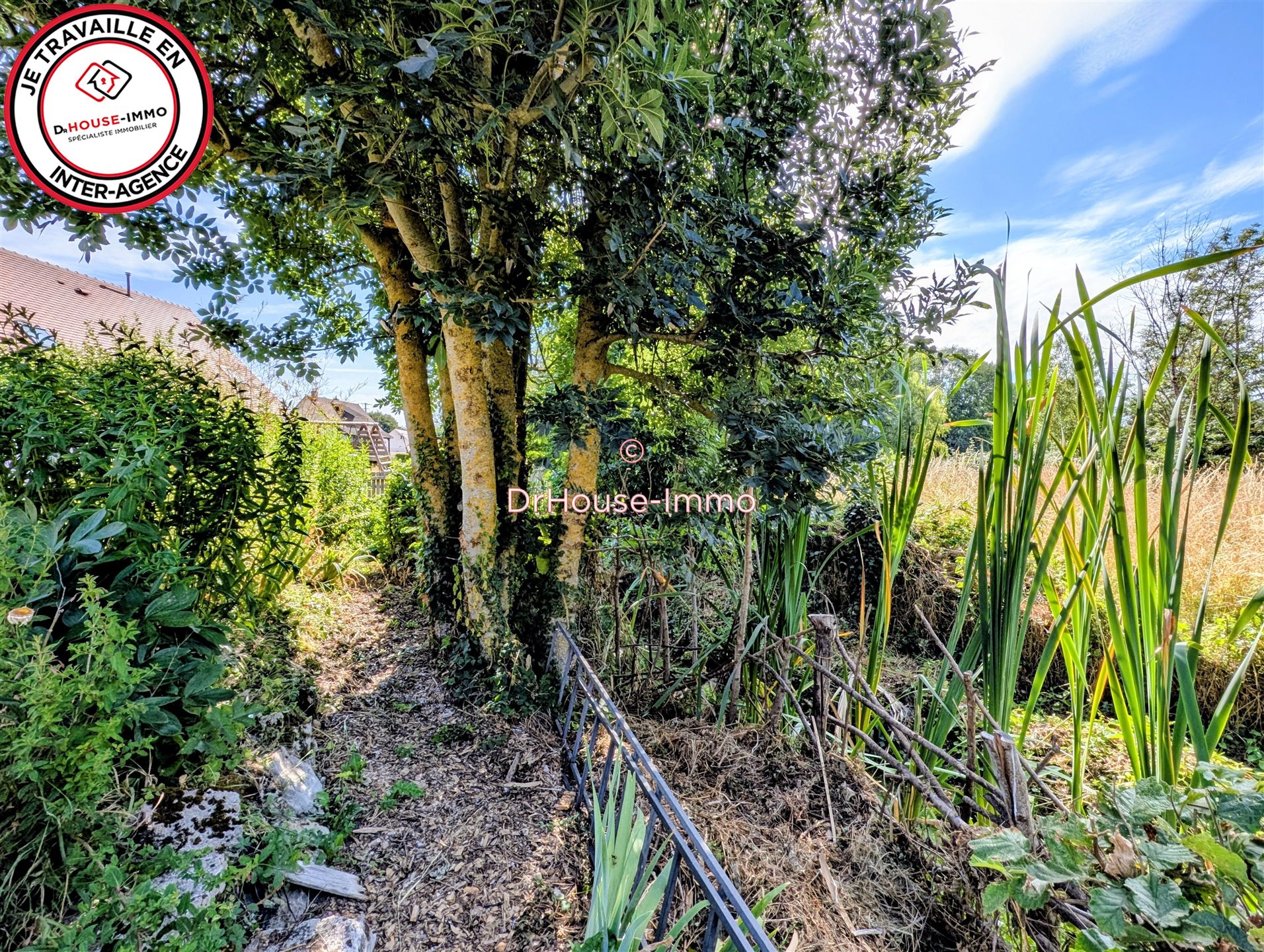 Maison à vendre, 204m², Meung-sur-Loire
