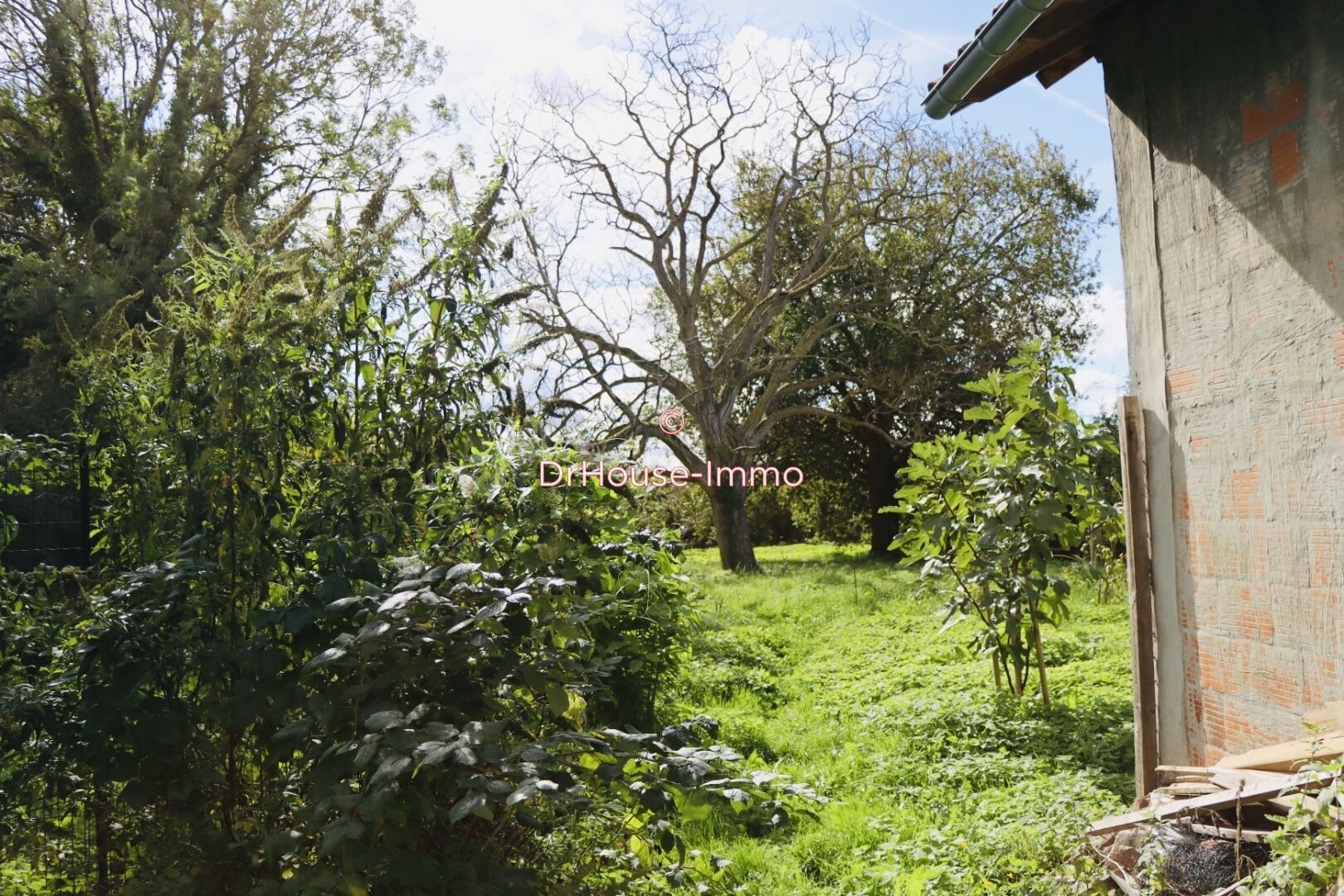 Maison à vendre, 105m², Rumegies
