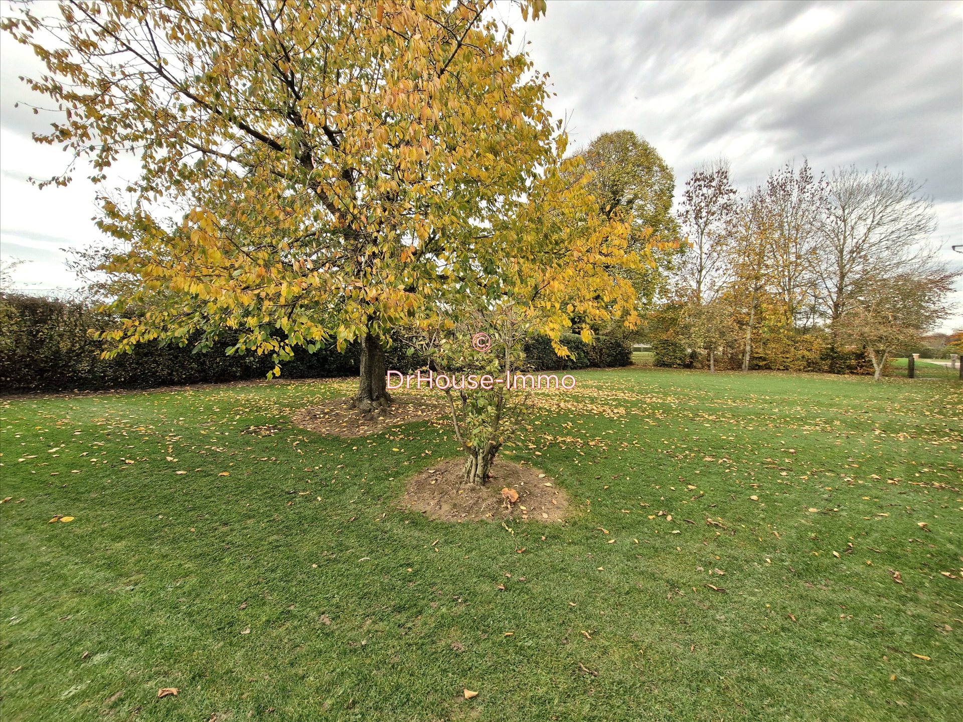 Maison à vendre, 152m², Hornoy-le-Bourg