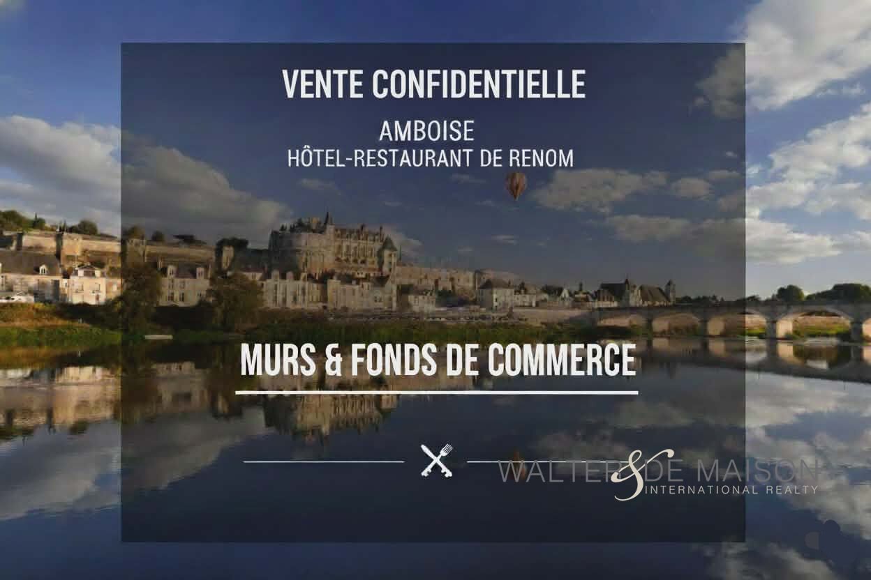 Maison à vendre, 500m², Amboise