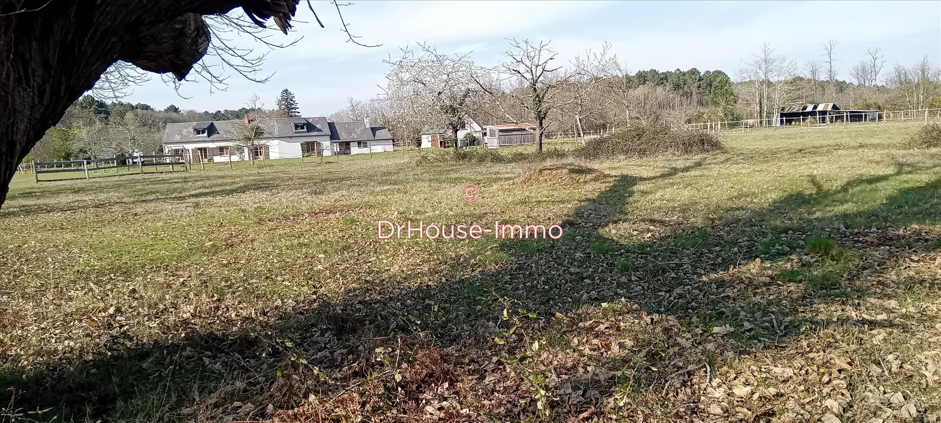 Maison à vendre, 139m², Langeais