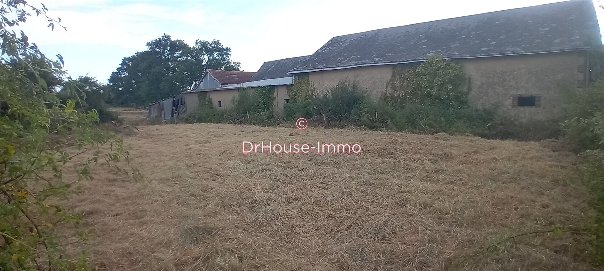 Maison à vendre, 399m², Villiers-au-Bouin