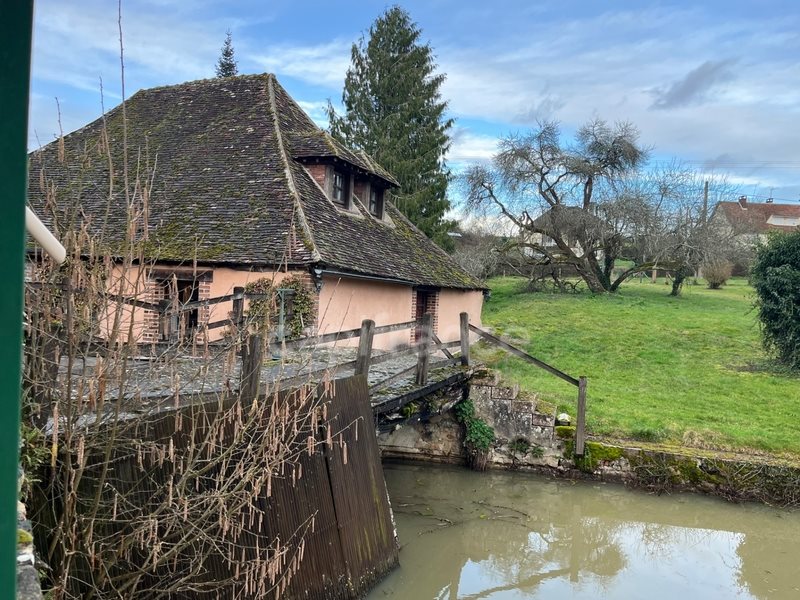 Maison à vendre, 494m², Tannerre-en-Puisaye