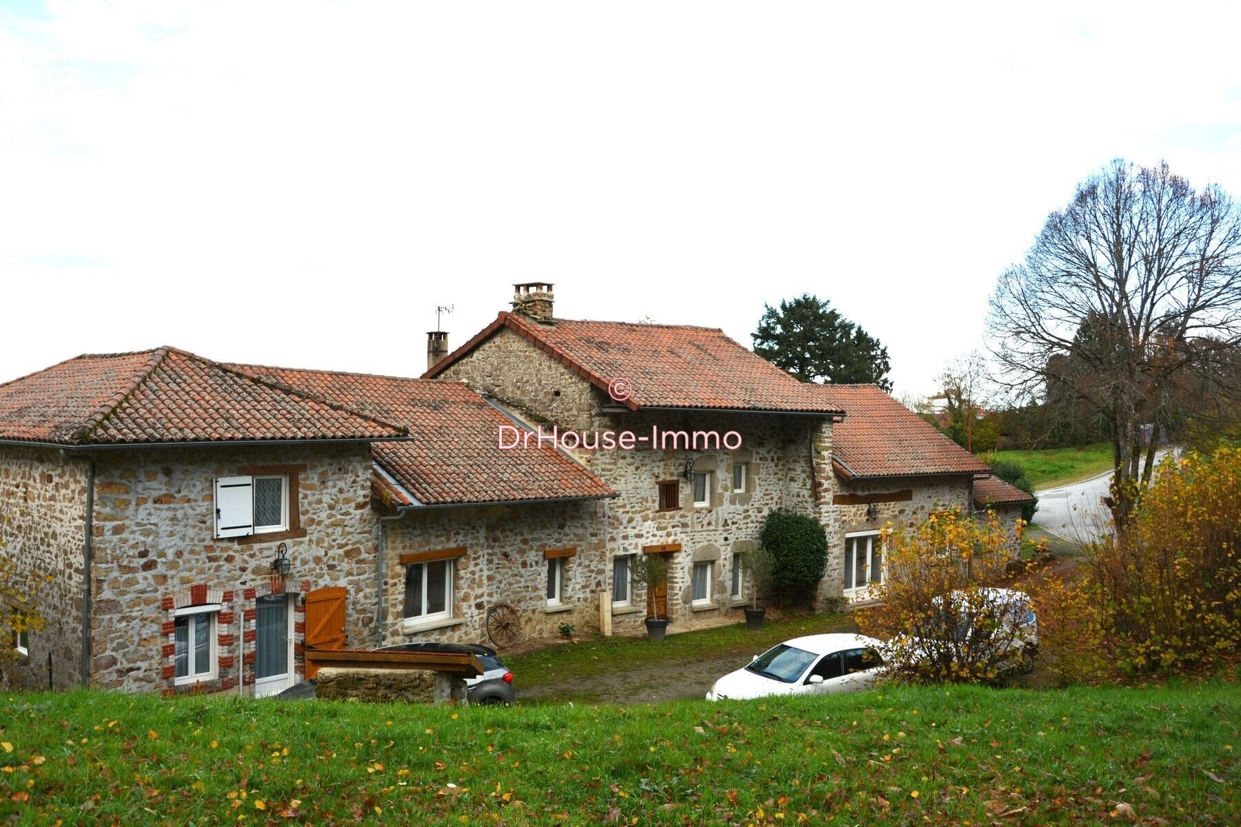 Maison à vendre, 244m², Saint-Martin-Terressus