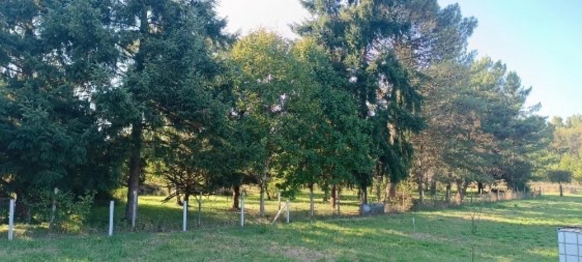 Maison à vendre, 153m², Selles-sur-Cher