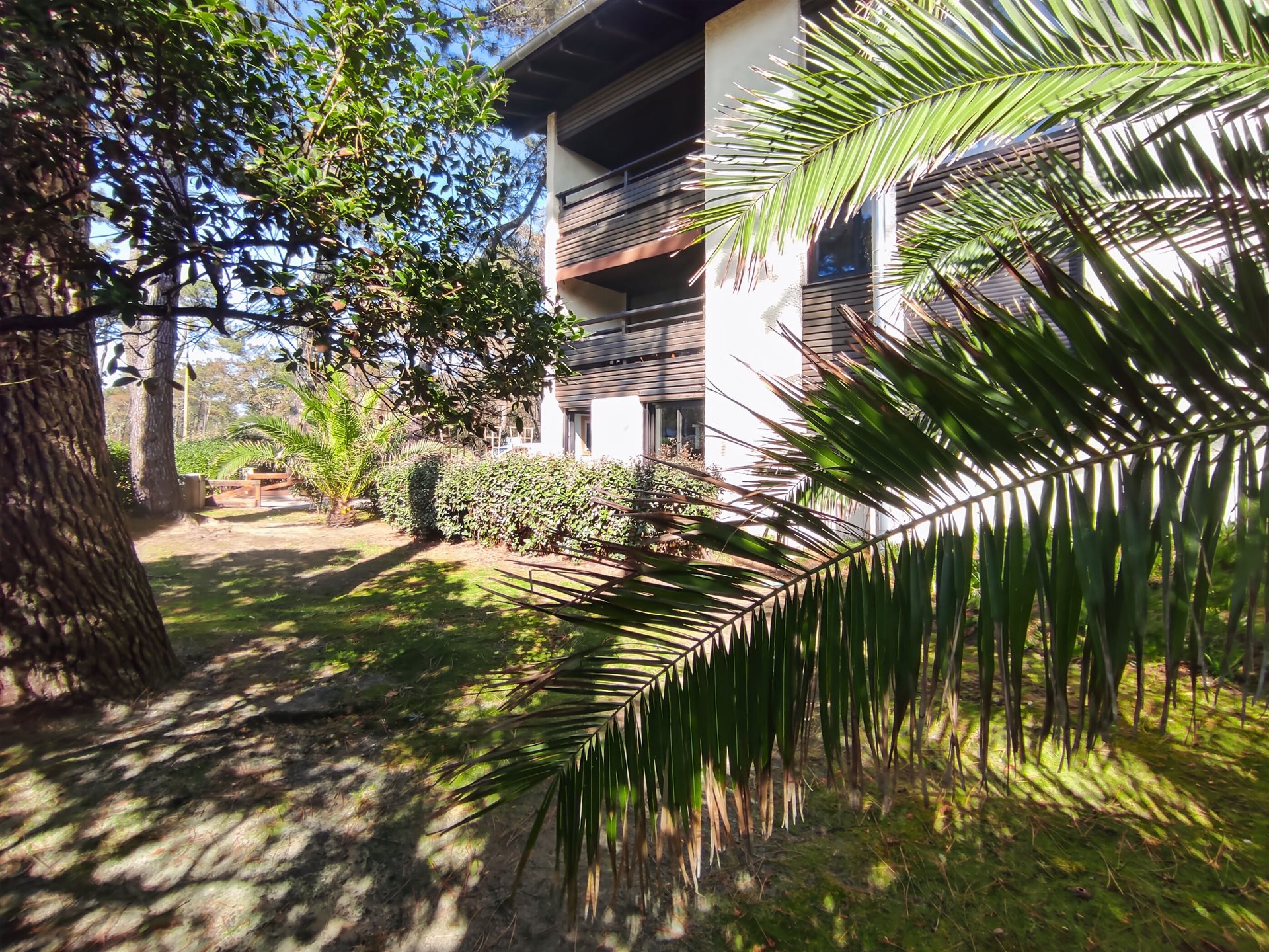 Appartement à vendre, 31m², Seignosse