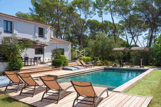 Mougins (Alpes-Maritimes) photo 2