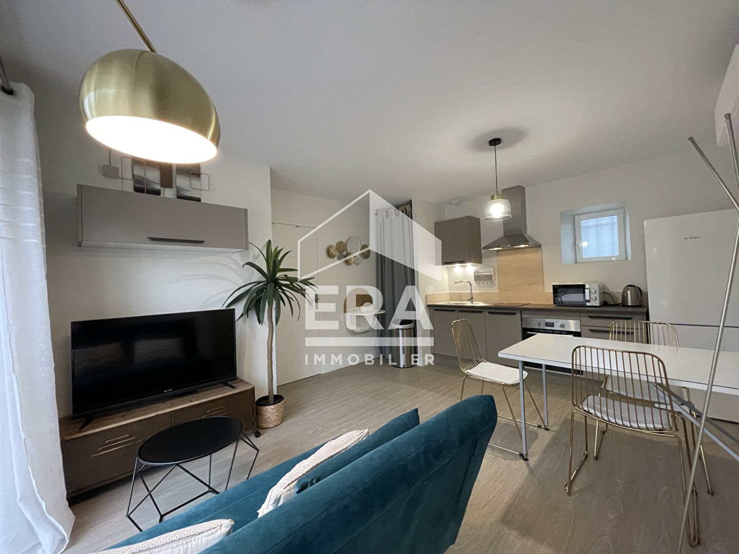 Appartement à louer, 34m², Albi