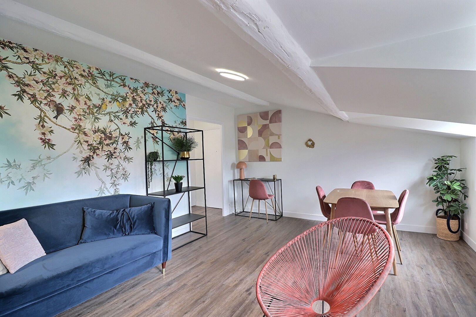 Appartement à louer, 37m², Albi