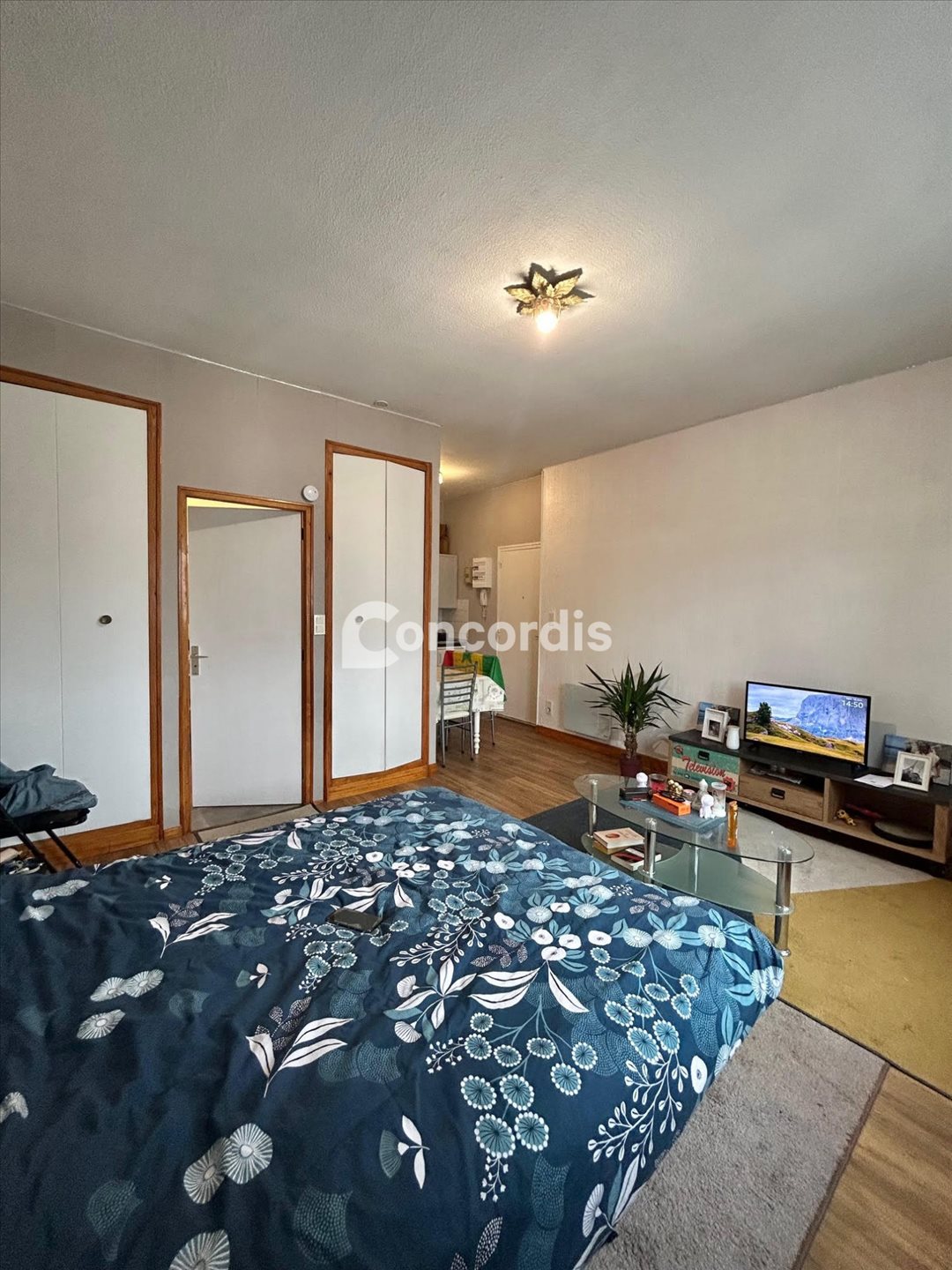 Appartement à vendre, 28m², Nancy