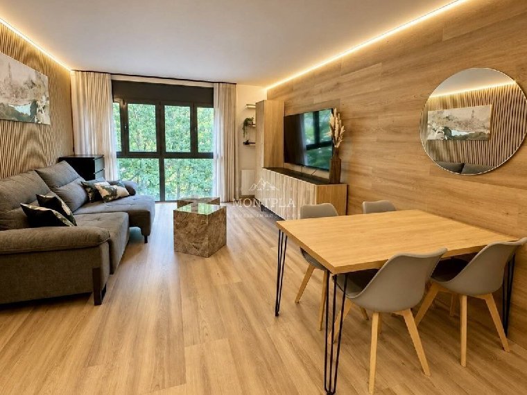 Pis de 3 habitacions en venda a Llorts, Ordino · 50 de 60