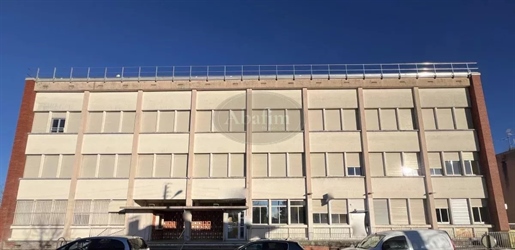 Immeuble 826 m² · à Cazères · 826 m² · 858 000 €