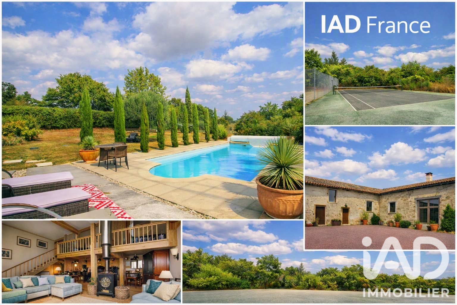 Maison à vendre, 201m², Paizay-Naudouin-Embourie
