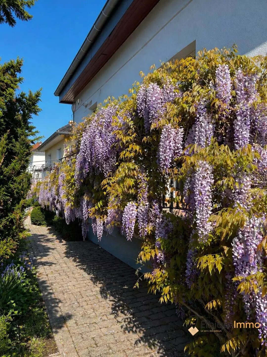 Maison à vendre, 200m², Souffelweyersheim