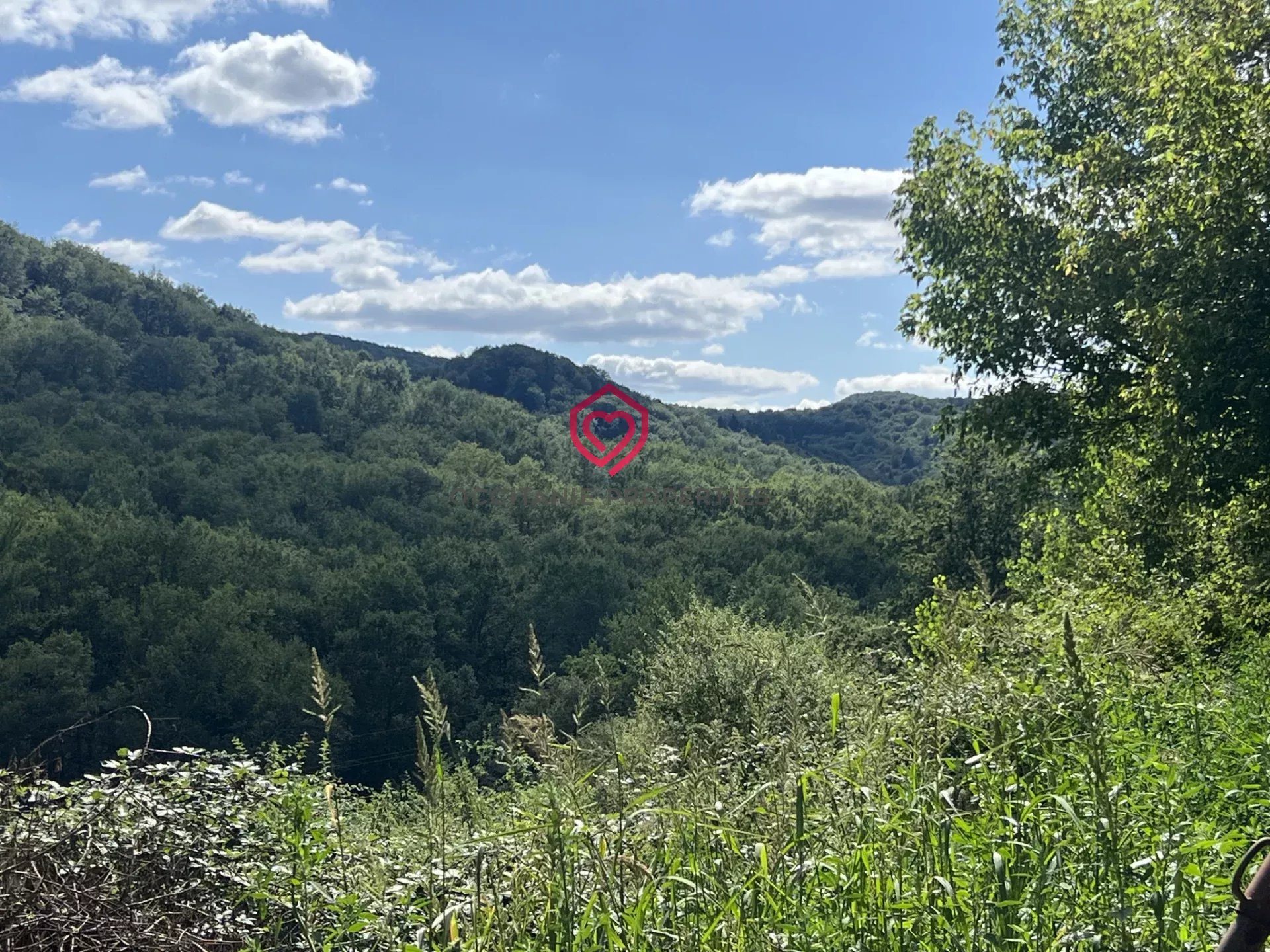 Maison à vendre, 271m², Sainte-Croix-Volvestre