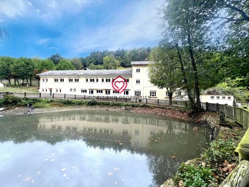 Maison 20 pièces 1200 m² · à Sentein · 1 200 m² · 675 000 €