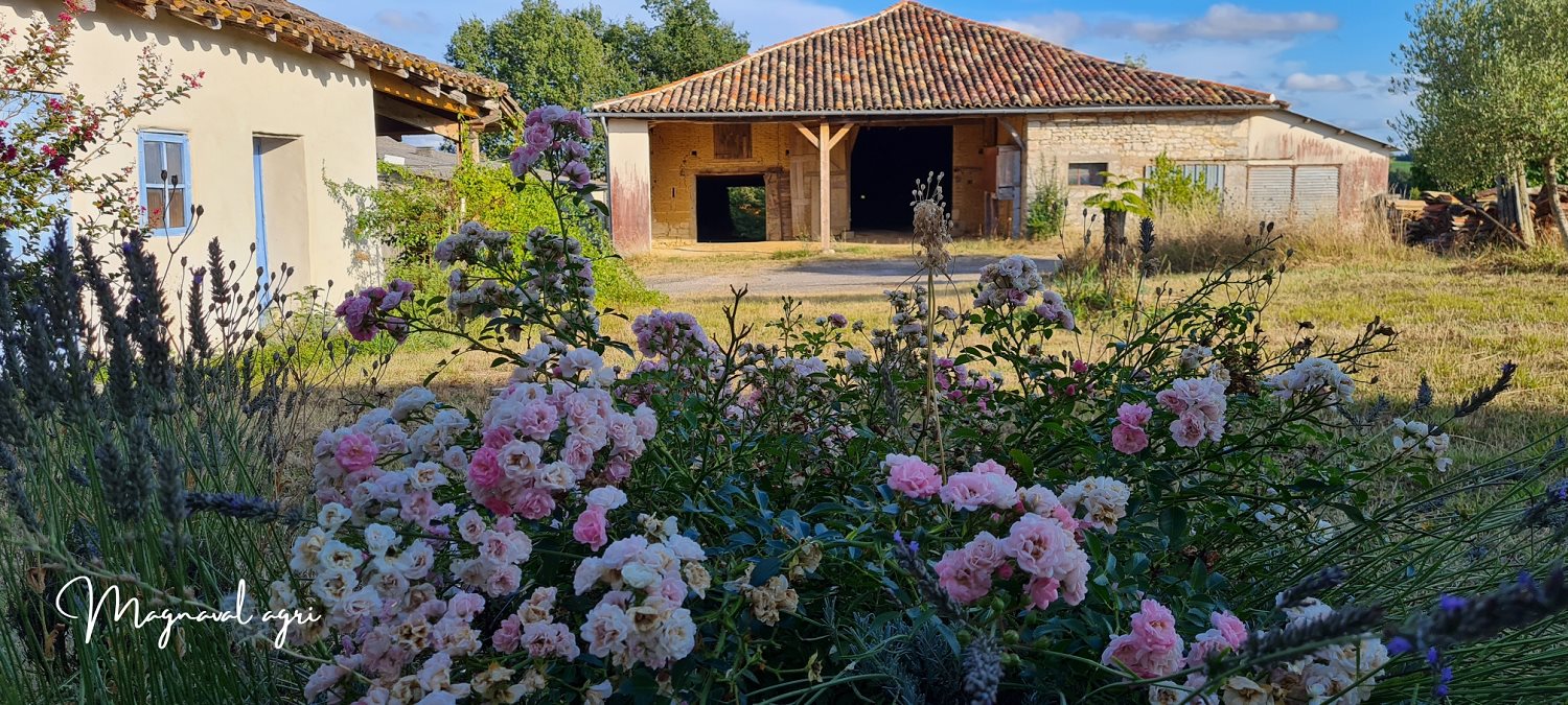Maison à vendre, 150m², Caussade