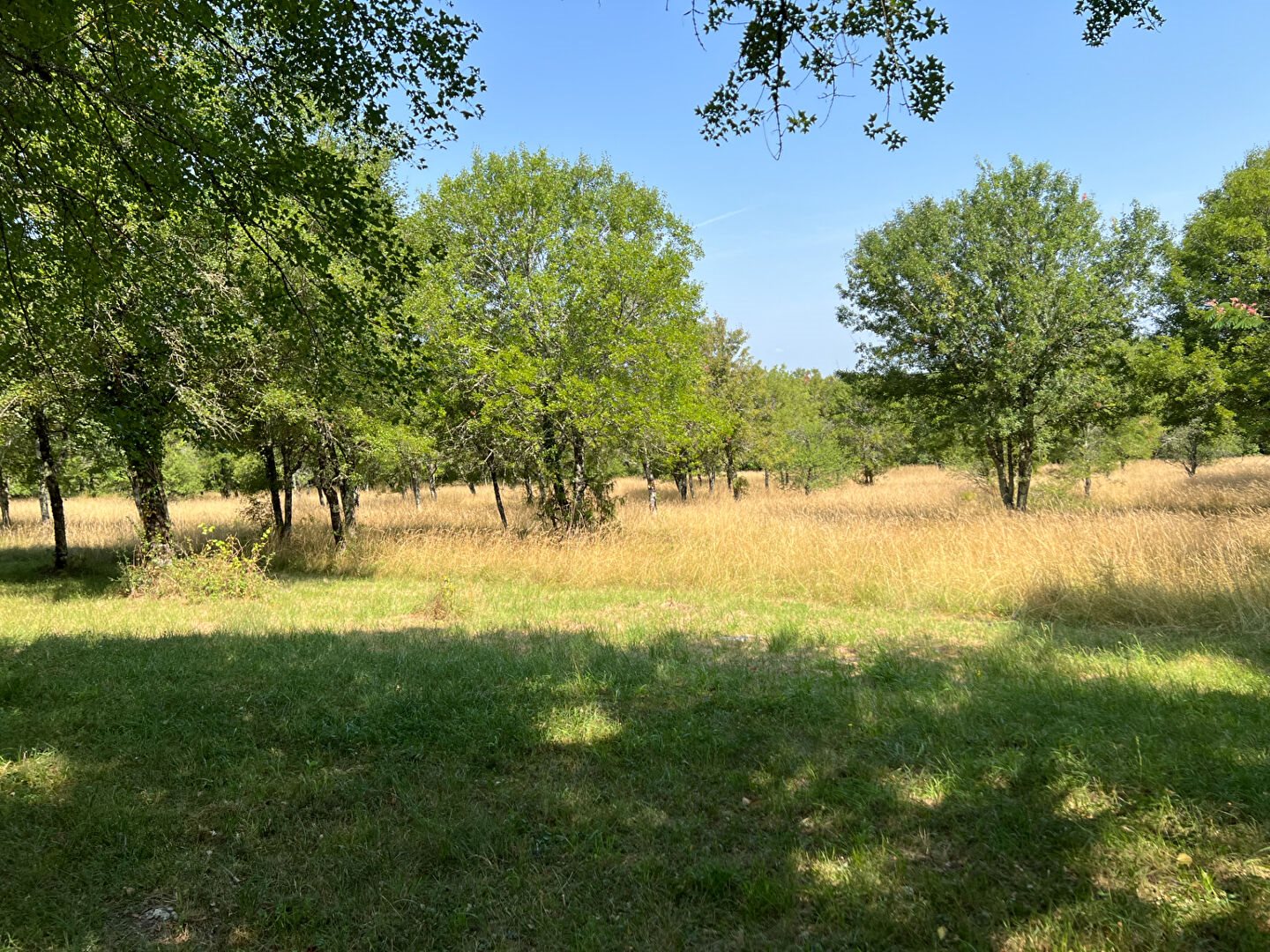 Maison à vendre, 94m², Saint-Antonin-Noble-Val