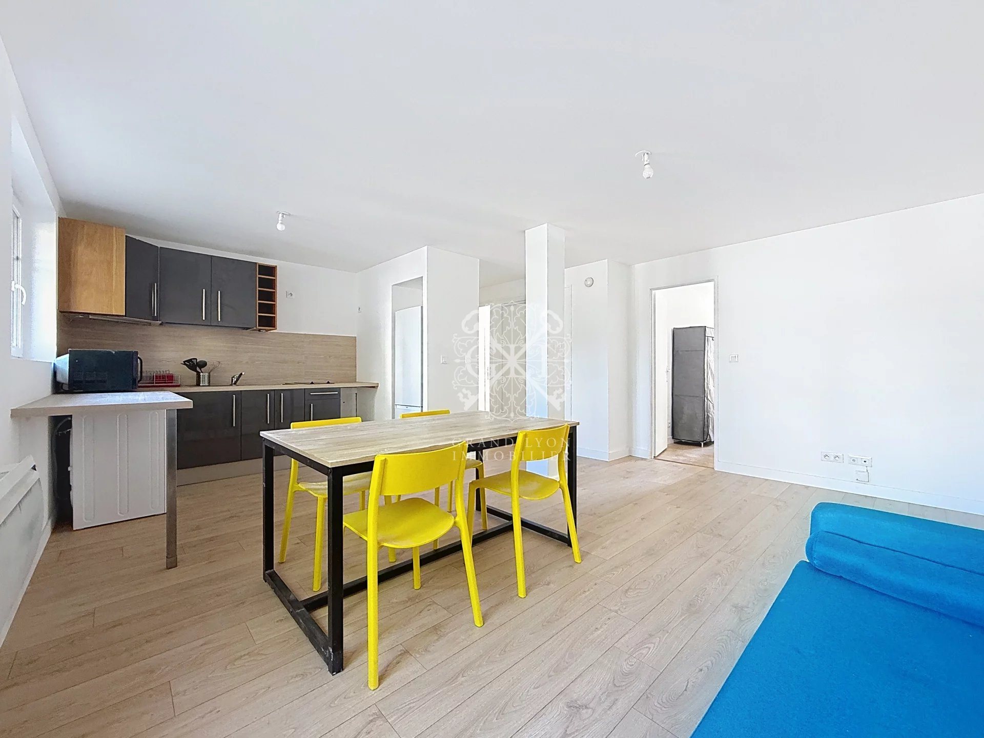 Appartement à louer, 56m², Villeurbanne
