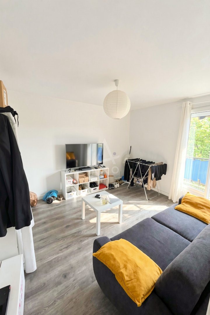 Appartement à louer, 22m², Montaigu