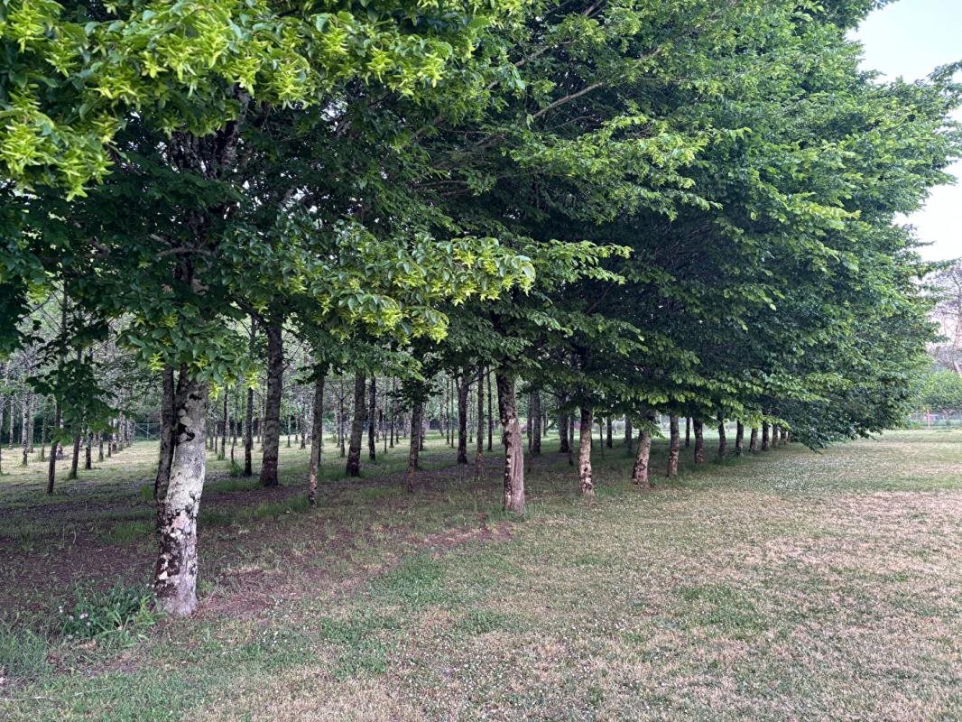 Maison à vendre, 103m², Jarnac