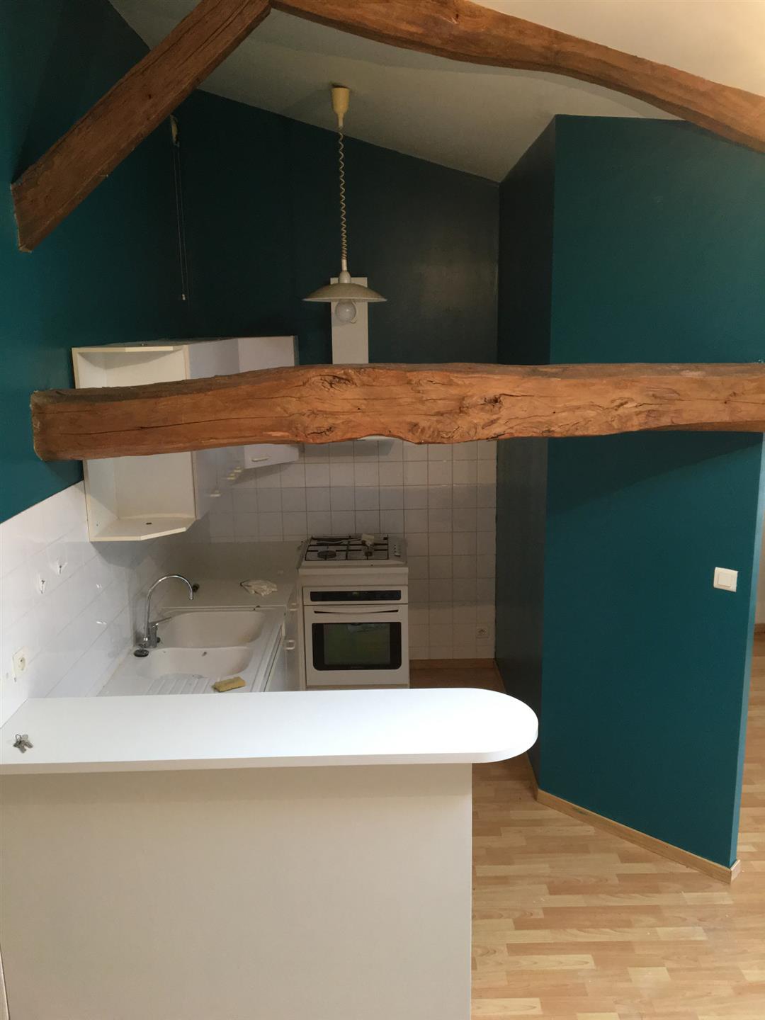 Appartement à louer, 54m², Molières