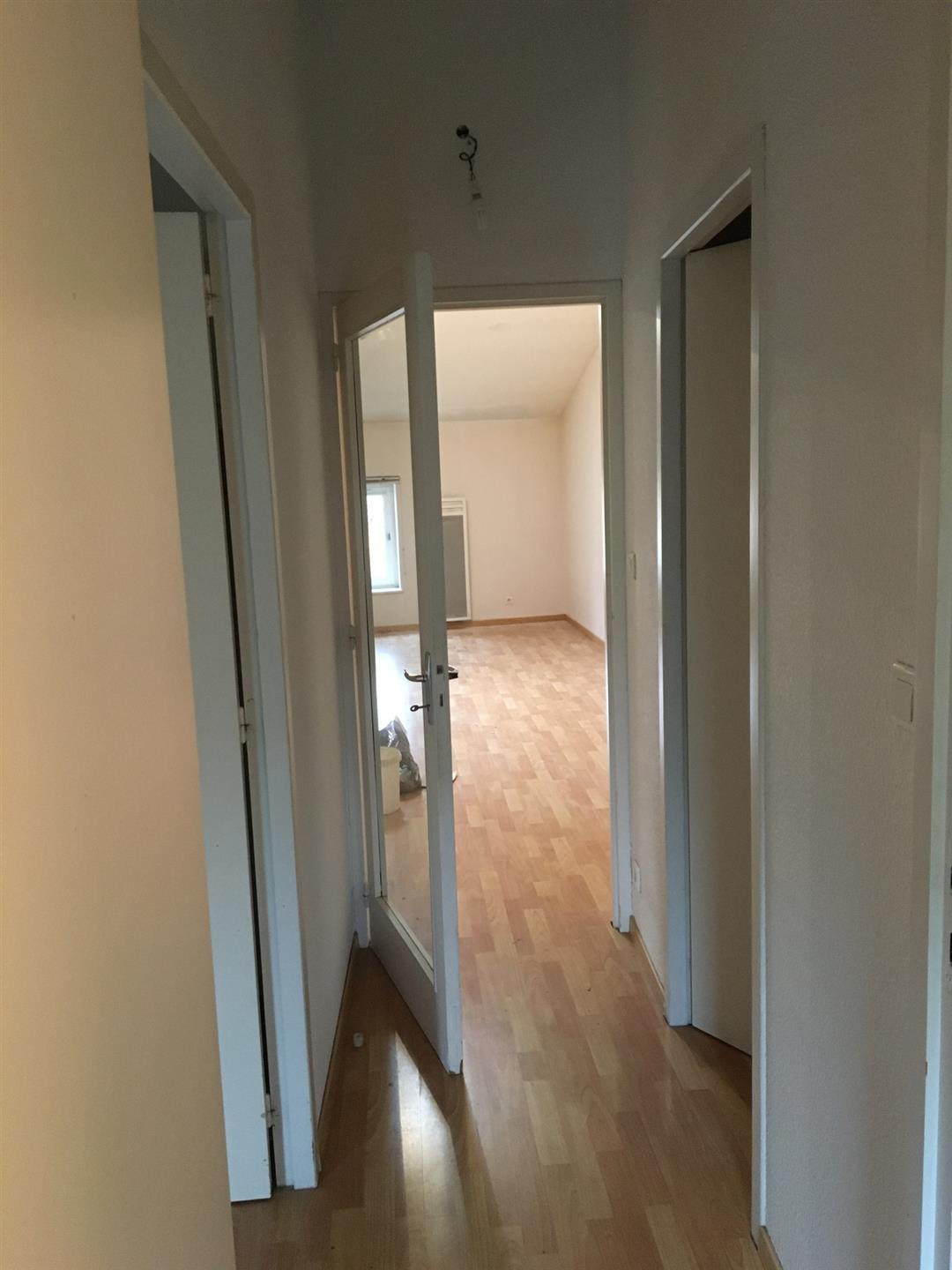 Appartement à louer, 54m², Molières