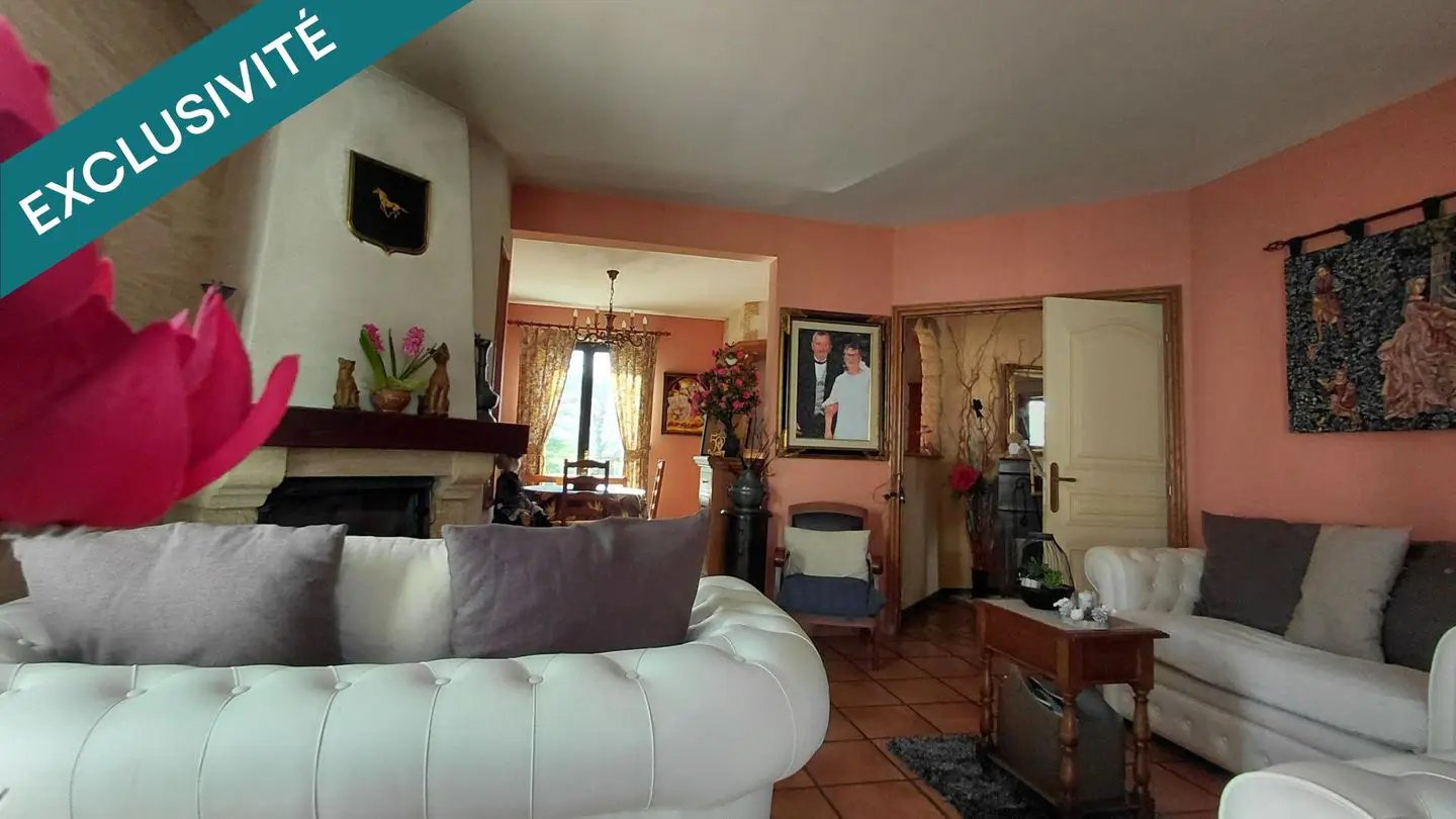 Maison à vendre, 208m², Denée