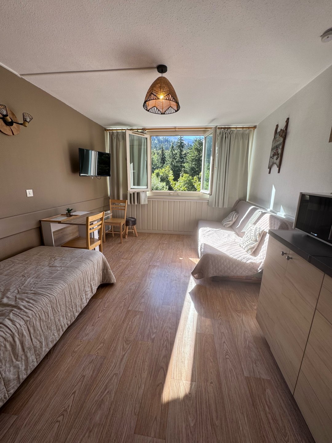 Appartement à vendre, 19m², Laveissière
