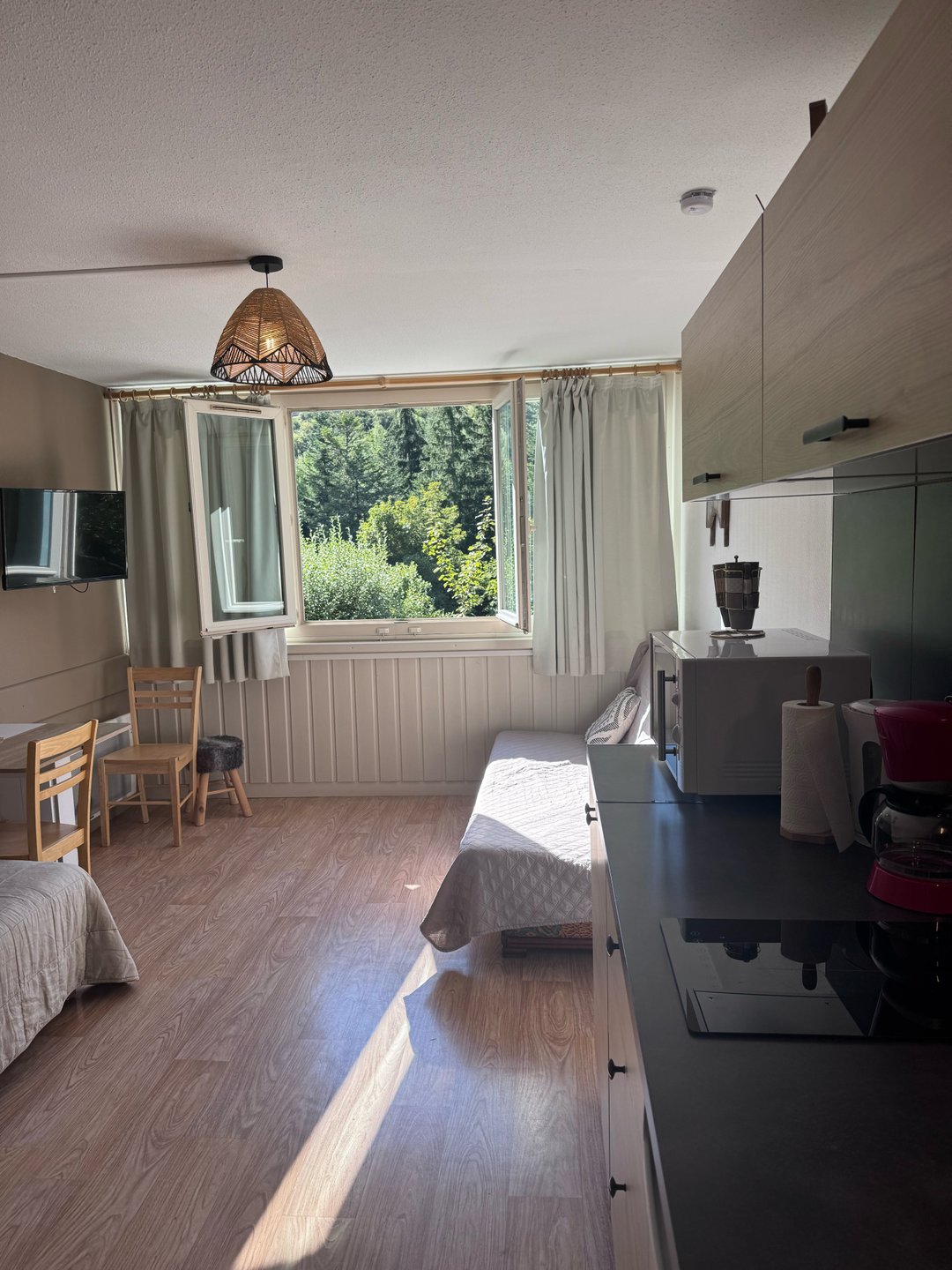 Appartement à vendre, 19m², Laveissière