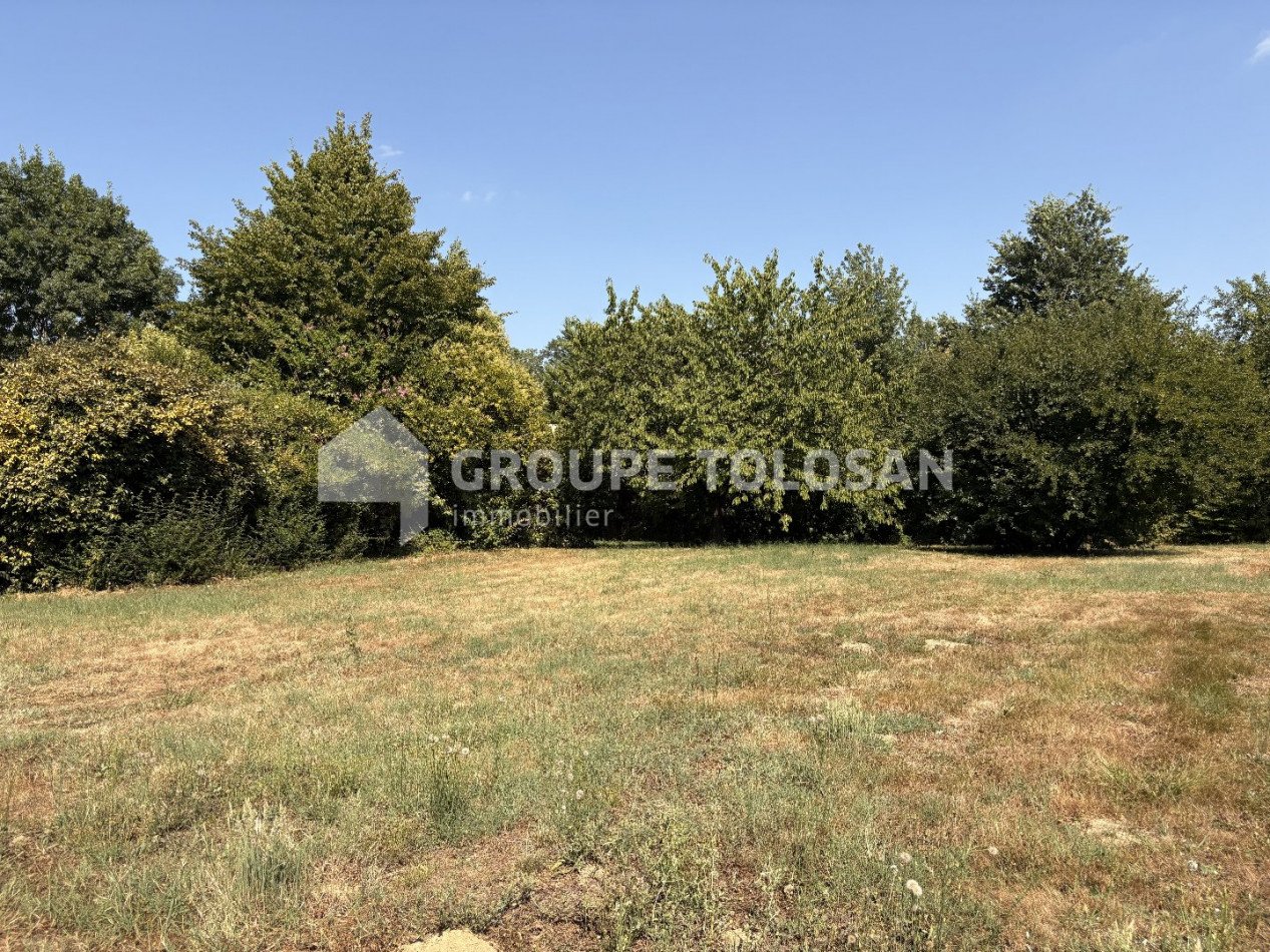 Maison à vendre, 780m², Montauban