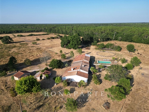 Maison 10 pièces 254 m² · à Gaillan-en-Médoc · 254 m² · 837 400 €