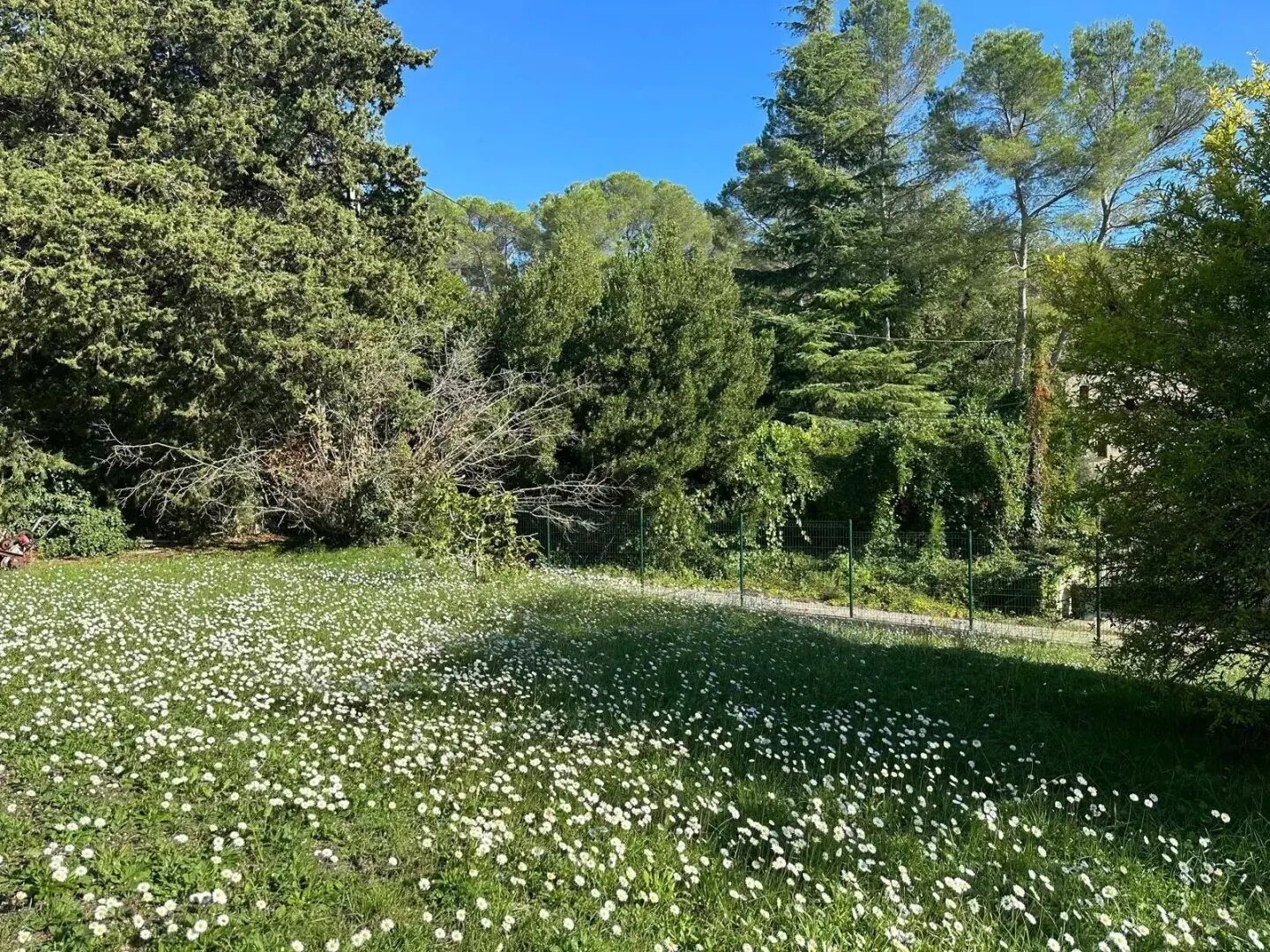 Maison à vendre, 1653m², Mougins
