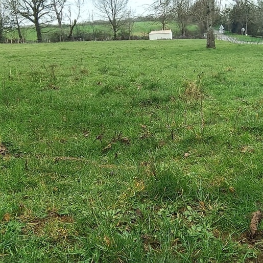 Advert pic 0