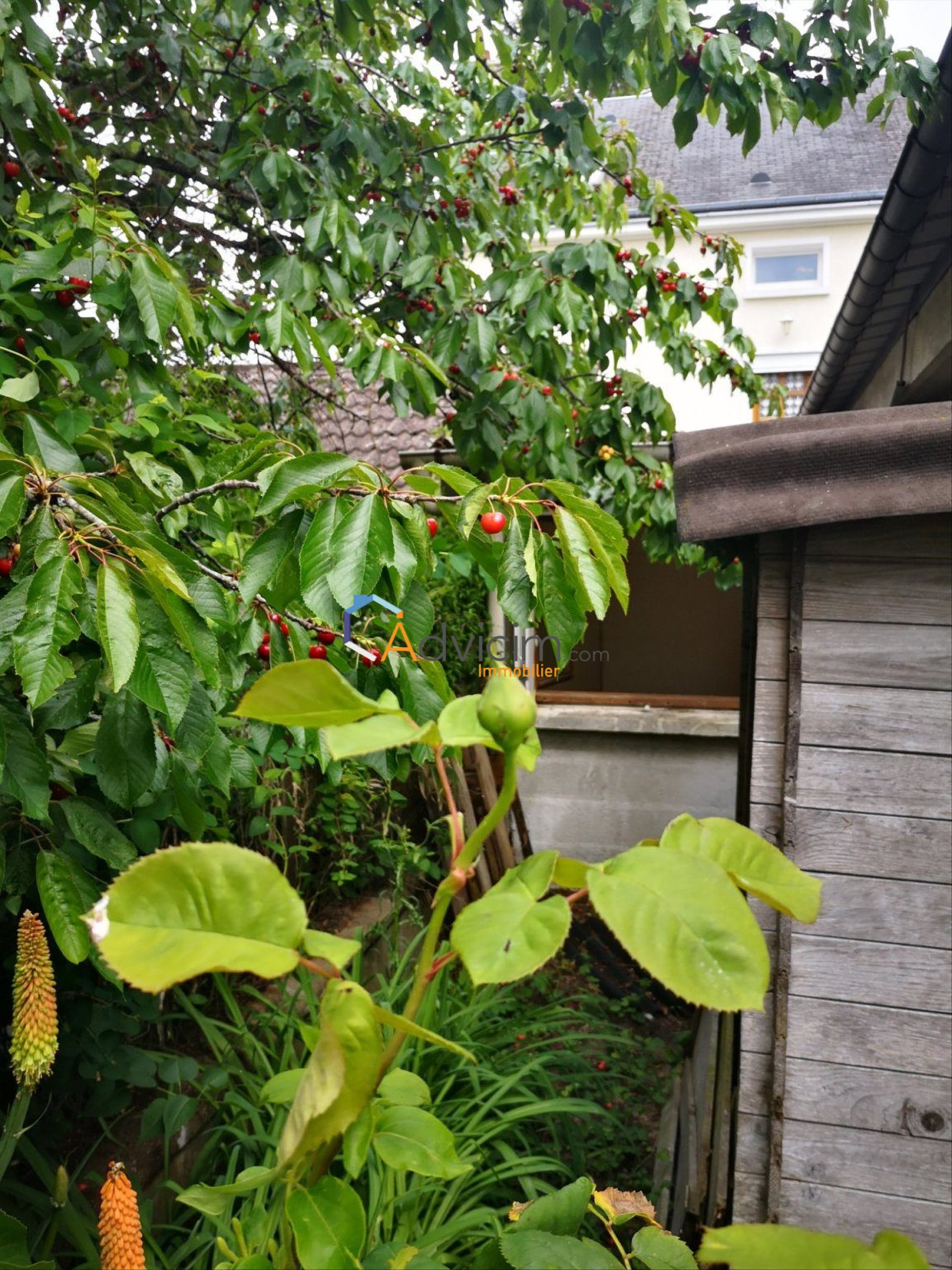 Maison à louer, 50m², Fleury-les-Aubrais